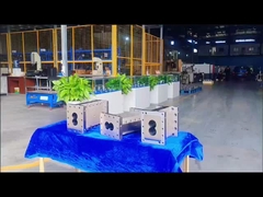 Bölünmüş fıçılar