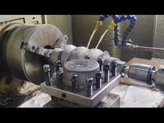 Berstoff Çift Vidalı Ekstrüder Vida Segmentleri ve Kovan