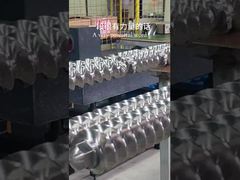 65mm makine için Inner Spline Twin Screw Extruder Shaft